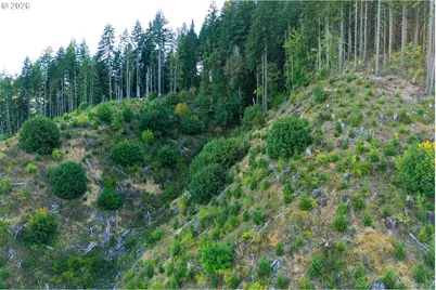 Honeygrove Rd #TL200, Alsea, OR 97324 - Photo 30