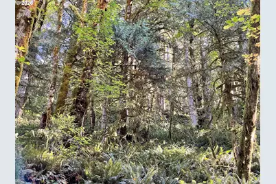 Honeygrove Rd #TL200, Alsea, OR 97324 - Photo 38