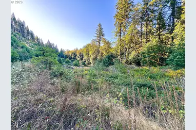 Honeygrove Rd #TL200, Alsea, OR 97324 - Photo 2