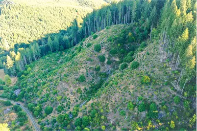 Honeygrove Rd #TL200, Alsea, OR 97324 - Photo 18
