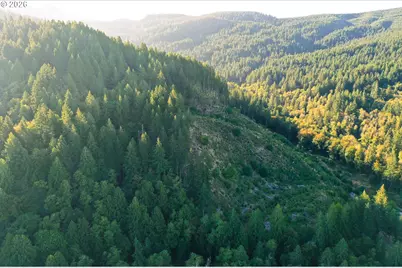 Honeygrove Rd #TL200, Alsea, OR 97324 - Photo 40