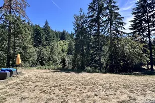37303 Wallace Creek Rd, Springfield, OR 97478 - Photo 34