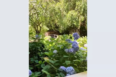 209 Templeton St, Brownsville, OR 97327 - Photo 28