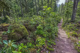 75125 E Mt Hood Hwy, Rhododendron, OR 97049 - Photo 32