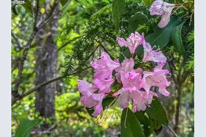75125 E Mt Hood Hwy, Rhododendron, OR 97049 - Photo 8