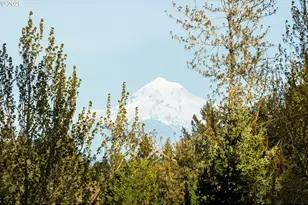 1 Hidalgo St, Lake Oswego, OR 97035 - Photo 22