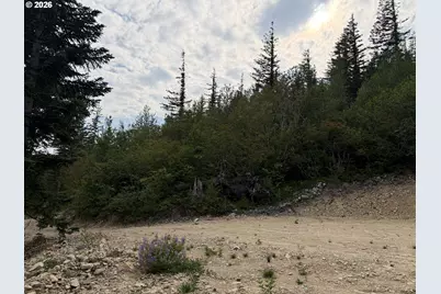 0 Snag Mountain Rd #112, Washougal, WA 98671 - Photo 4