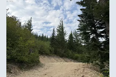 0 Snag Mountain Rd #112, Washougal, WA 98671 - Photo 1