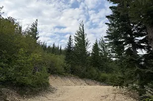 0 Snag Mountain Rd, Washougal, WA 98671 - Photo 1