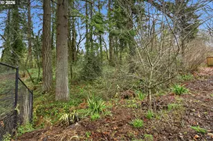 4816 NE 110th Cir, Vancouver, WA 98686 - Photo 44