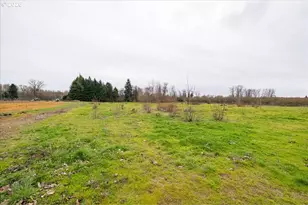 93419 River Rd, Junction City, OR 97448 - Photo 26