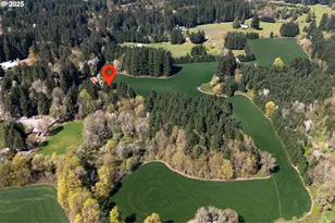 20270 NW Pihl Rd, Banks, OR 97106 - Photo 4