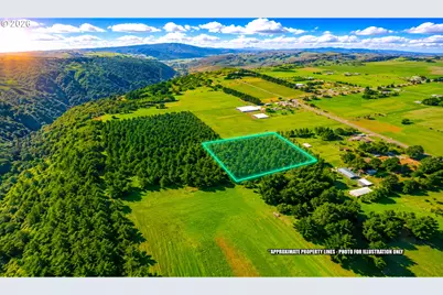 14377 S Union Hall Rd, Mulino, OR 97042 - Photo 10