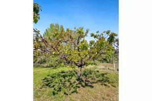 41473 Orch Vw Rd, Kimberly, OR 97848 - Photo 42