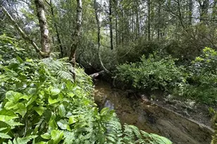 3960 Munsel Creek Dr, Florence, OR 97439 - Photo 34