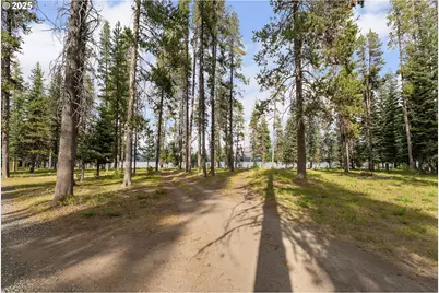 85 Diamond Lake Loop, Chemult, OR 97731 - Photo 28