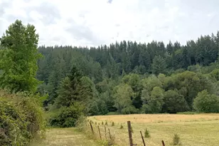 10082 Lone Pine Ln, Myrtle Point, OR 97458 - Photo 36