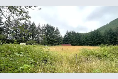 10082 Lone Pine Ln, Myrtle Point, OR 97458 - Photo 8