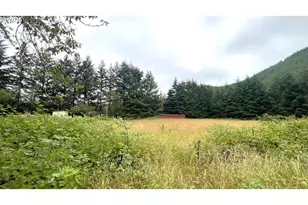 10082 Lone Pine Ln, Myrtle Point, OR 97458 - Photo 8