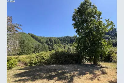10082 Lone Pine Ln, Myrtle Point, OR 97458 - Photo 6