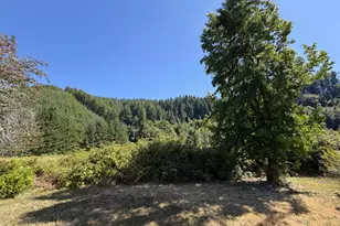 10082 Lone Pine Ln, Myrtle Point, OR 97458 - Photo 6