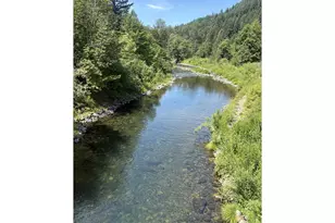 39688 Row River Rd, Dorena, OR 97434 - Photo 16