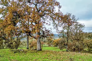 1104 Rio Nes Ln, Roseburg, OR 97470 - Photo 14