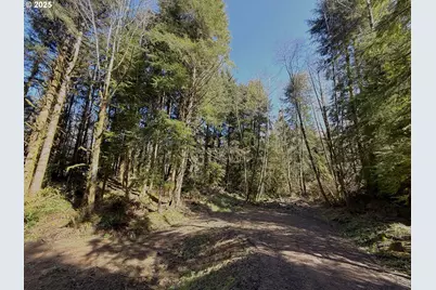 Fiddle Back Lot 7, North Bend, OR 97459 - Photo 8