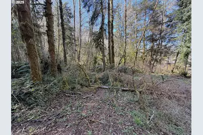 Fiddle Back Lot 7, North Bend, OR 97459 - Photo 10