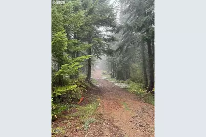Forest Rod 2820 #100, Sweet Home, OR 97386 - Photo 1
