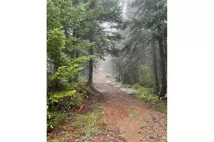 Forest Rod 2820, Sweet Home, OR 97386 - Photo 1