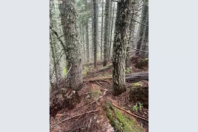 Forest Rod 2820 #100, Sweet Home, OR 97386 - Photo 10