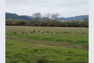 31450 Highway 101, Hebo, OR 97122 - Photo 6