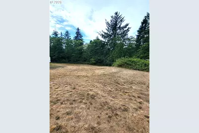 24313 Gile Pl, Ocean Park, WA 98640 - Photo 4