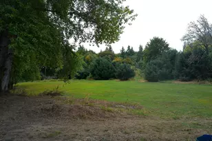 17269 Sheely Creek Rd, Vernonia, OR 97064 - Photo 18