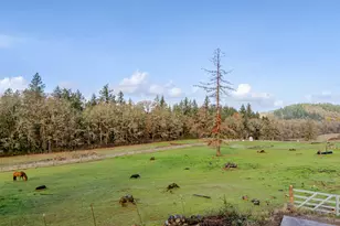 40189 Mt Hope Dr, Lebanon, OR 97355 - Photo 34