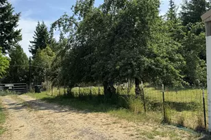 46393 Hwy 242, Myrtle Point, OR 97458 - Photo 48