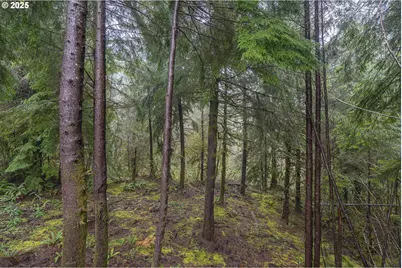 3684 Salmon River Hwy, Otis, OR 97368 - Photo 32