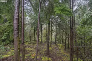 3684 Salmon River Hwy, Otis, OR 97368 - Photo 32