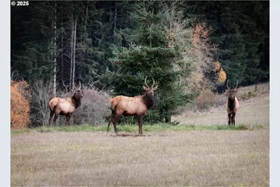 33306 Freds Row Ln, Saint Helens, OR 97051 - Photo 34