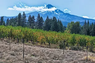 7500 Smullin Rd, Mount Hood Prkdl, OR 97041 - Photo 40