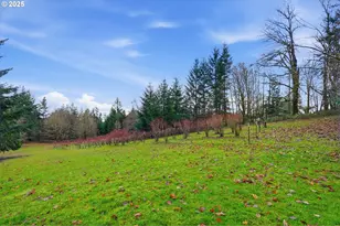 21645 NE McCormick Hill Rd, Hillsboro, OR 97123 - Photo 42