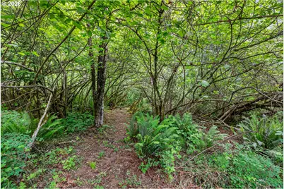 91 Rancho Del Oro, Stevenson, WA 98648 - Photo 4