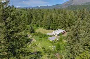 91668 Burton Dr, McKenzie Bridge, OR 97413 - Photo 16