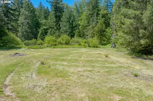 91668 Burton Dr, McKenzie Bridge, OR 97413 - Photo 18