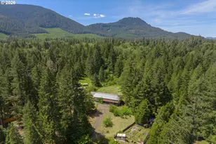 91668 Burton Dr, McKenzie Bridge, OR 97413 - Photo 8