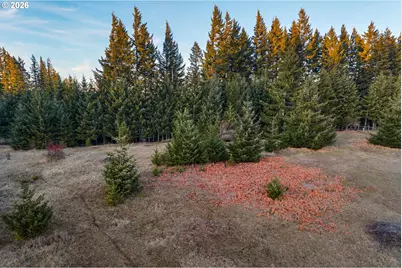 4 Windsong Ln, White Salmon, WA 98672 - Photo 6