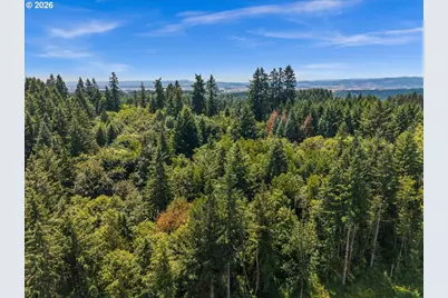 20802 NW Pumpkin Ridge Rd, North Plains, OR 97133 - Photo 6