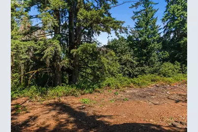 20802 NW Pumpkin Ridge Rd, North Plains, OR 97133 - Photo 12