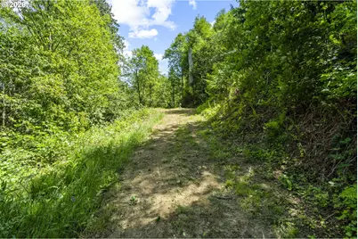19005 NE Buncombe Hollow Rd, Woodland, WA 98674 - Photo 8